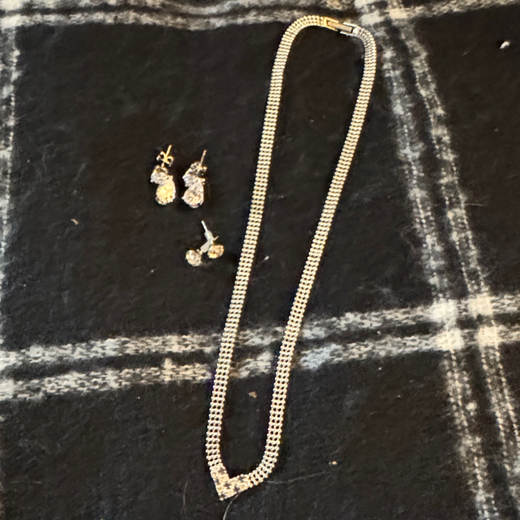 Elegant Silver Tone Necklace And Earring Set